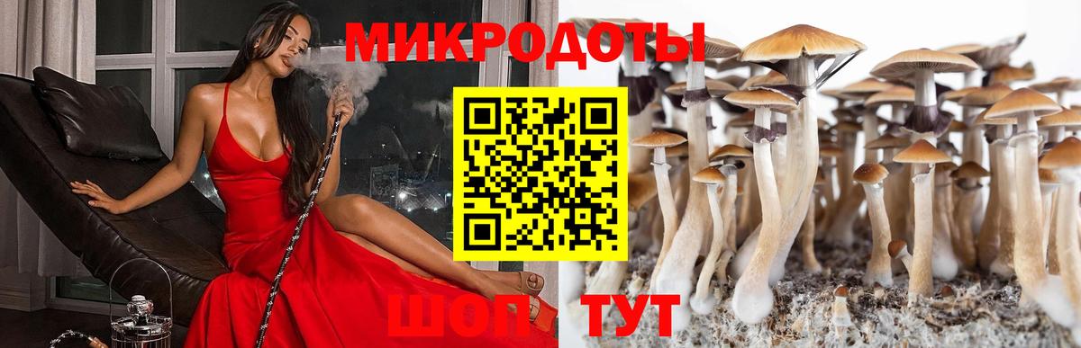 Псилоцибиновые грибы мицелий  Вход с VPN  Якутск 